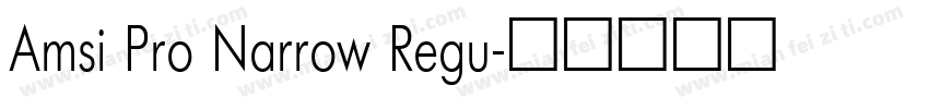 Amsi Pro Narrow Regu字体转换
